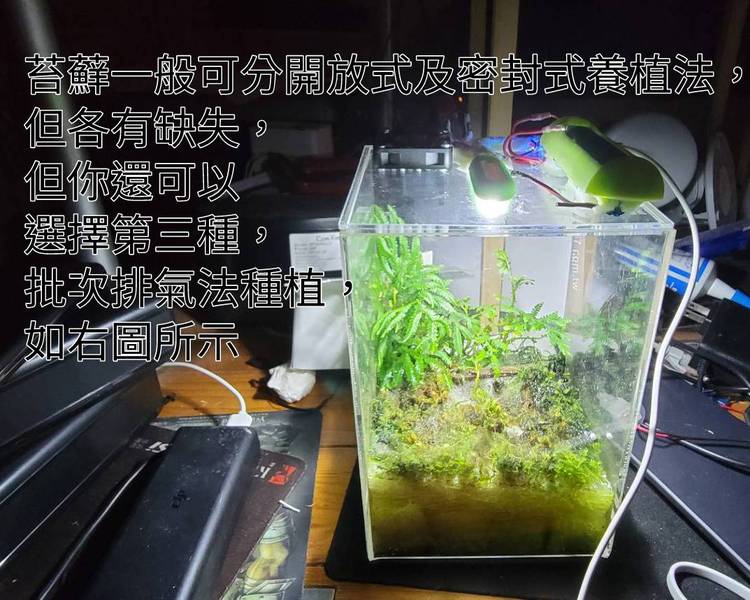 批次換氣種植法