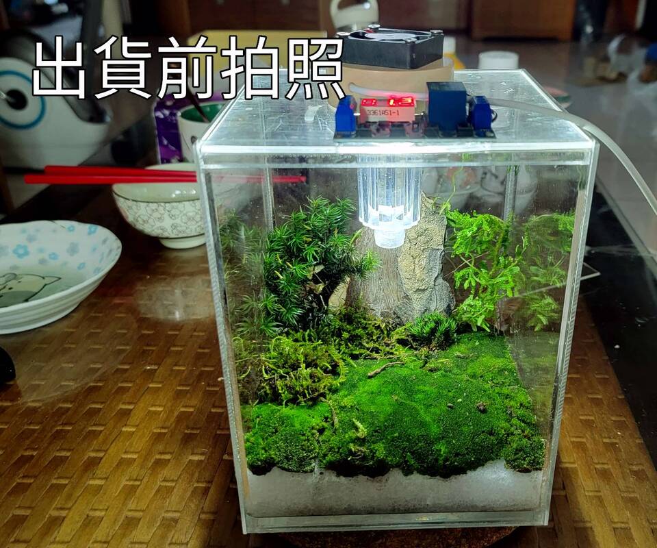 650元