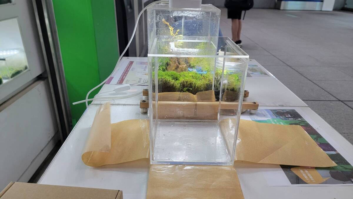 苔蘚生態瓶-500元
